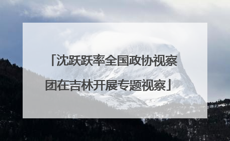 沈跃跃率全国政协视察团在吉林开展专题视察