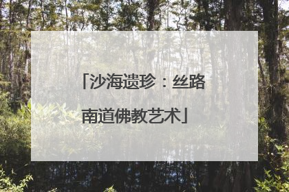 沙海遗珍：丝路南道佛教艺术