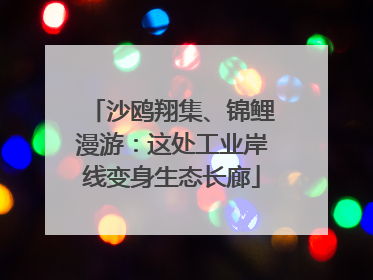 沙鸥翔集、锦鲤漫游：这处工业岸线变身生态长廊
