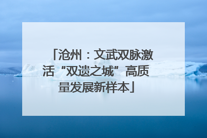 沧州：文武双脉激活“双遗之城”高质量发展新样本