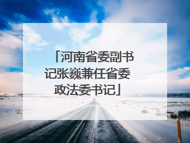 河南省委副书记张巍兼任省委政法委书记