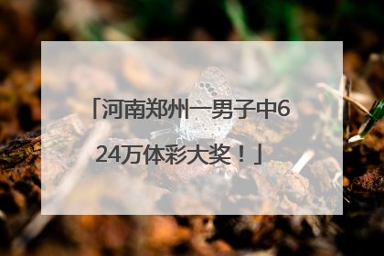 河南郑州一男子中624万体彩大奖！