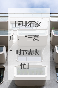 河北石家庄：“三夏”时节麦收忙