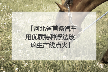 河北省首条汽车用优质特种浮法玻璃生产线点火