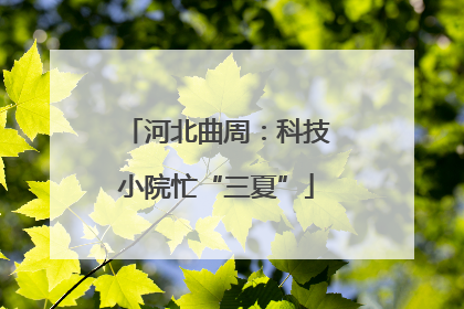 河北曲周：科技小院忙“三夏”