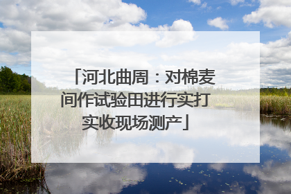 河北曲周：对棉麦间作试验田进行实打实收现场测产