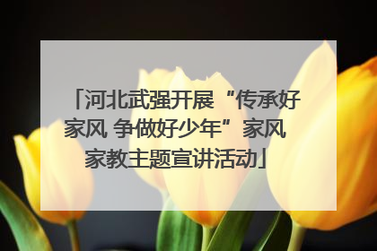 河北武强开展“传承好家风 争做好少年”家风家教主题宣讲活动