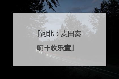 河北：麦田奏响丰收乐章