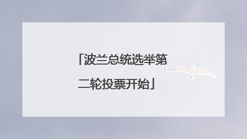波兰总统选举第二轮投票开始