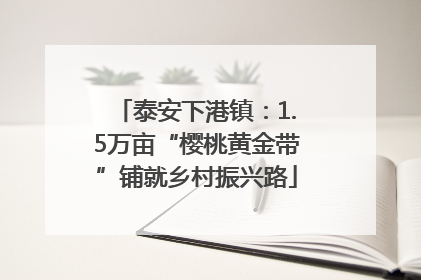 泰安下港镇：1.5万亩“樱桃黄金带”铺就乡村振兴路