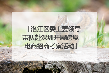 洛江区委主要领导带队赴深圳开展跨境电商招商考察活动