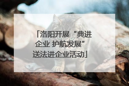 洛阳开展“典进企业 护航发展”送法进企业活动