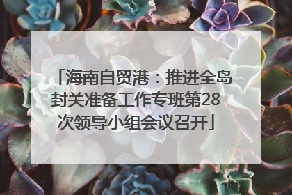 海南自贸港：推进全岛封关准备工作专班第28次领导小组会议召开