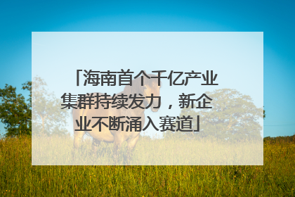 海南首个千亿产业集群持续发力，新企业不断涌入赛道