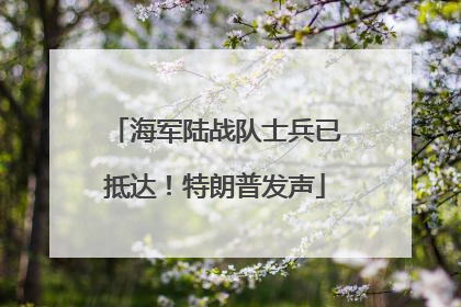 海军陆战队士兵已抵达！特朗普发声
