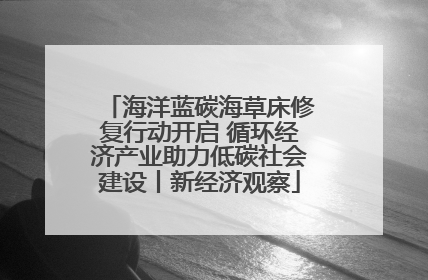 海洋蓝碳海草床修复行动开启 循环经济产业助力低碳社会建设丨新经济观察