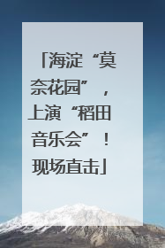海淀“莫奈花园”，上演“稻田音乐会”！现场直击