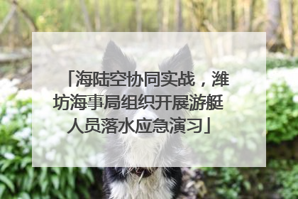 海陆空协同实战，潍坊海事局组织开展游艇人员落水应急演习
