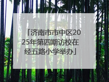 济南市市中区2025年第四期访校在经五路小学举办