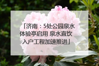 济南：5处公园泉水体验亭启用 泉水直饮入户工程加速推进