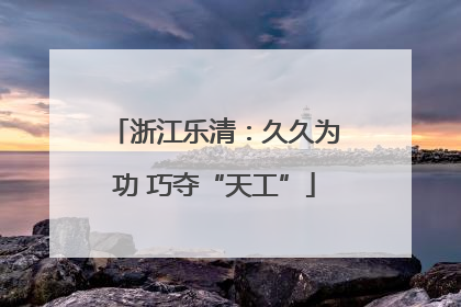 浙江乐清：久久为功 巧夺“天工”