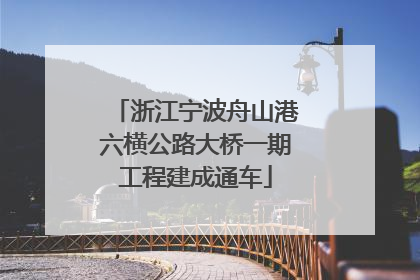 浙江宁波舟山港六横公路大桥一期工程建成通车