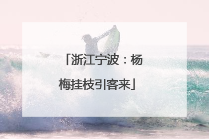 浙江宁波：杨梅挂枝引客来