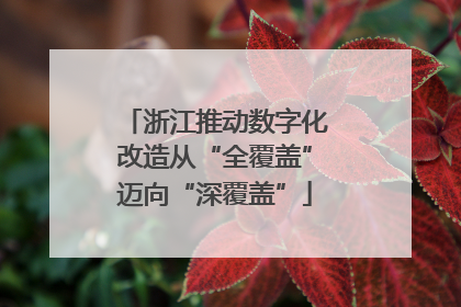 浙江推动数字化改造从“全覆盖”迈向“深覆盖”