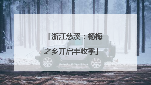 浙江慈溪：杨梅之乡开启丰收季
