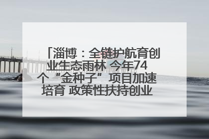 淄博：全链护航育创业生态雨林 今年74个“金种子”项目加速培育 政策性扶持创业9754人