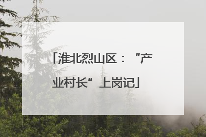 淮北烈山区：“产业村长”上岗记
