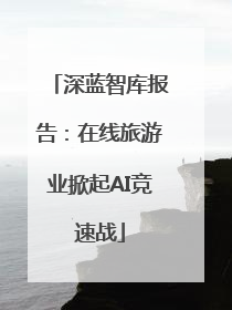 深蓝智库报告：在线旅游业掀起AI竞速战