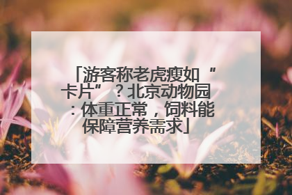 游客称老虎瘦如“卡片”？北京动物园：体重正常，饲料能保障营养需求