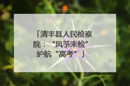 清丰县人民检察院：“风筝未检”护航“高考”