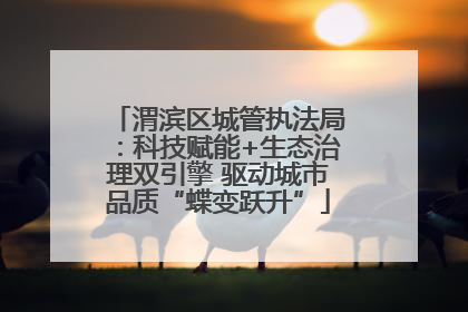 渭滨区城管执法局：科技赋能+生态治理双引擎 驱动城市品质“蝶变跃升”