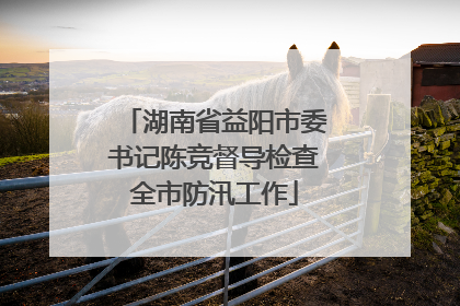 湖南省益阳市委书记陈竞督导检查全市防汛工作