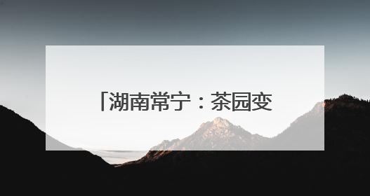 湖南常宁：茶园变课堂 学生采茶忙