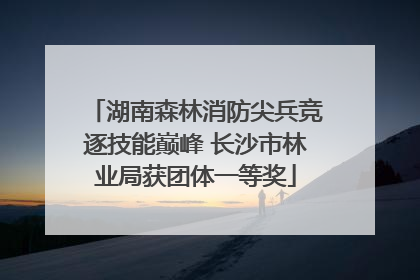 湖南森林消防尖兵竞逐技能巅峰 长沙市林业局获团体一等奖