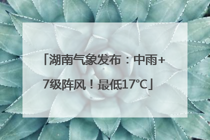 湖南气象发布：中雨+7级阵风！最低17℃