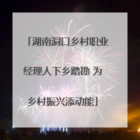 湖南洞口乡村职业经理人下乡踏勘 为乡村振兴添动能
