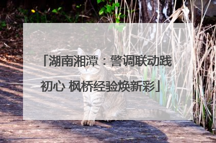 湖南湘潭：警调联动践初心 枫桥经验焕新彩