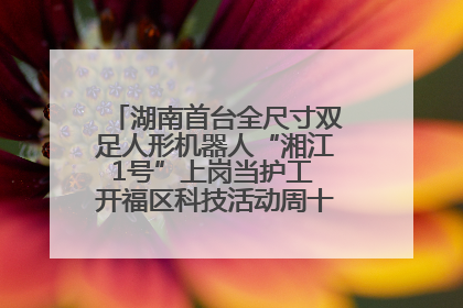 湖南首台全尺寸双足人形机器人“湘江1号”上岗当护工 开福区科技活动周十大科创项目签约