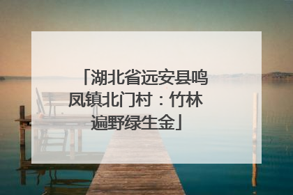 湖北省远安县鸣凤镇北门村：竹林遍野绿生金