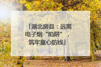 湖北房县：远离电子烟“陷阱”，筑牢童心防线