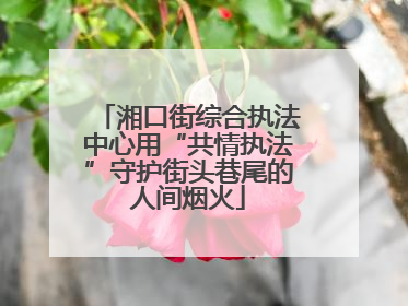 湘口街综合执法中心用“共情执法”守护街头巷尾的人间烟火