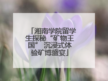 湘南学院留学生探秘“矿物王国” 沉浸式体验矿博盛宴