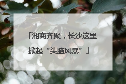 湘商齐聚，长沙这里掀起“头脑风暴”
