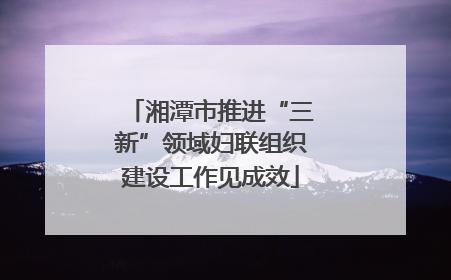 湘潭市推进“三新”领域妇联组织建设工作见成效