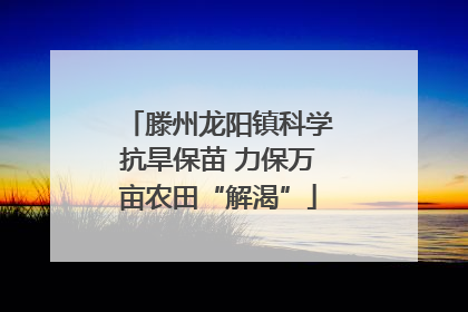滕州龙阳镇科学抗旱保苗 力保万亩农田“解渴”