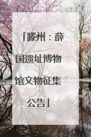 滕州：薛国遗址博物馆文物征集公告